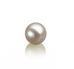 7-8mm di Perle Acqua Dolce Perle non montate en Bianco
