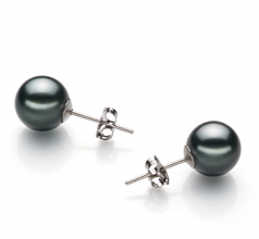 8-9mm Di Tahiti Orecchini en Nero