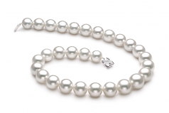 14-17mm Dei Mari del Sud Collana en Bianco
