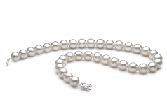 12-13mm Dei Mari del Sud Collana en Bianco