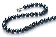 7.5-8mm Akoya Giapponese Collana en Nero