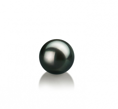 7-8mm AAA Quality Akoya Giapponese Perle non montate in Nero