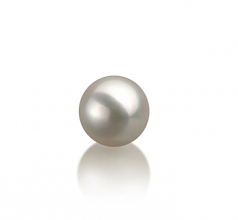 7-8mm Akoya Giapponese Perle non montate en Bianco