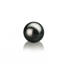 7-8mm Akoya Giapponese Perle non montate en Nero