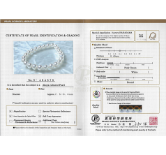 7.5-8mm Akoya Giapponese Bracciale en Hanadama 7 pollici Bianco