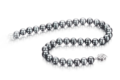 7-7.5mm Akoya Giapponese Collana en Nero-Argento