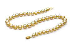 9-11.7mm Dei Mari del Sud Collana en Oro