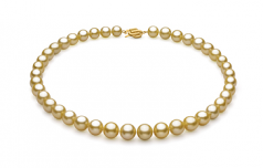 9-11.8mm Dei Mari del Sud Collana en Oro