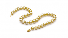 10.9-12.8mm Dei Mari del Sud Collana en Oro