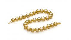 14-15.7mm Dei Mari del Sud Collana en Oro