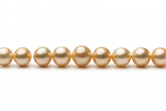 10.1-14.6mm Dei Mari del Sud Collana en 18 pollici Oro