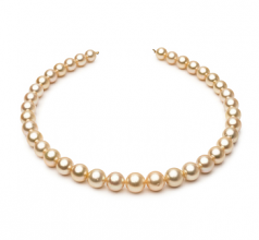 9.6-12.6mm Dei Mari del Sud Collana en 18 pollici Oro