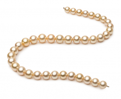 9.6-12.6mm Dei Mari del Sud Collana en 18 pollici Oro