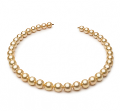 9.5-11.9mm Dei Mari del Sud Collana en 18 pollici Oro