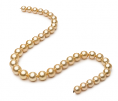 9.5-11.9mm Dei Mari del Sud Collana en 18 pollici Oro