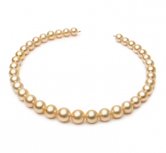 9.7-13.9mm Dei Mari del Sud Collana en 18 pollici Oro