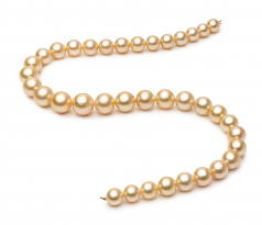 9.7-13.9mm Dei Mari del Sud Collana en 18 pollici Oro