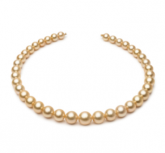 9.2-12.8mm Dei Mari del Sud Collana en 18 pollici Oro