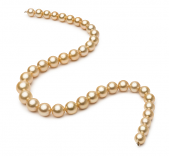 9.2-12.8mm Dei Mari del Sud Collana en 18 pollici Oro