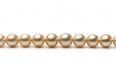 9.2-12.8mm Dei Mari del Sud Collana en 18 pollici Oro