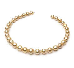10.1-12.5mm Dei Mari del Sud Collana en 18 pollici Oro