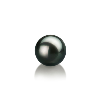 7-8mm AAA Quality Akoya Giapponese Perle non montate in Nero