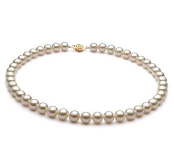 Bianco 8-9mm Qualità AAA - Collana di Perle di Acqua Dolce - Oro Riempito
